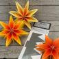 Preview: Faltstern-Stanze Nr.8XL